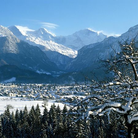 Jungfrau Hotel Wilderswil Zewnętrze zdjęcie