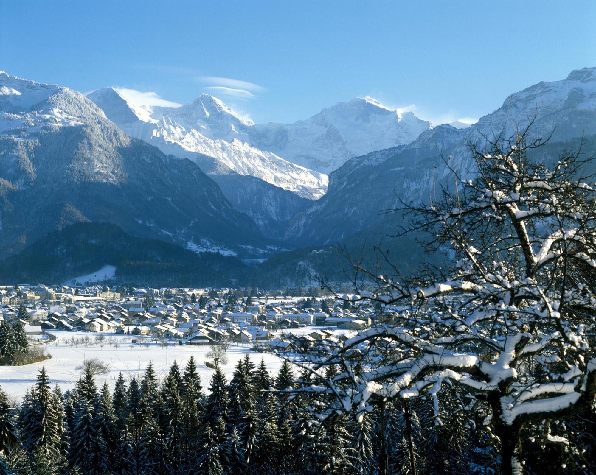 Jungfrau Hotel Wilderswil Zewnętrze zdjęcie