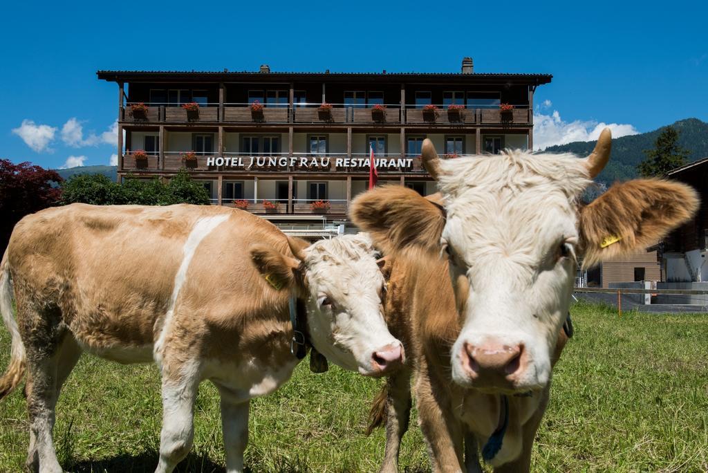 Jungfrau Hotel Wilderswil Zewnętrze zdjęcie