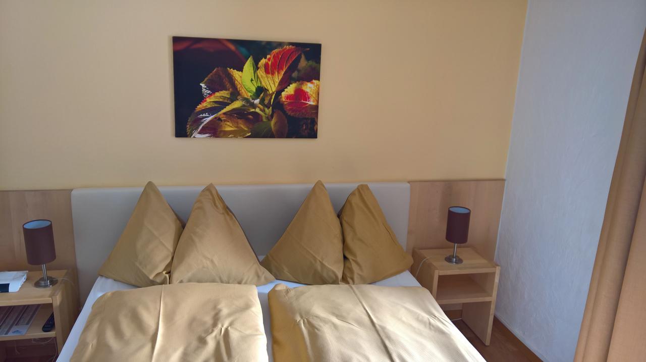 Jungfrau Hotel Wilderswil Zewnętrze zdjęcie