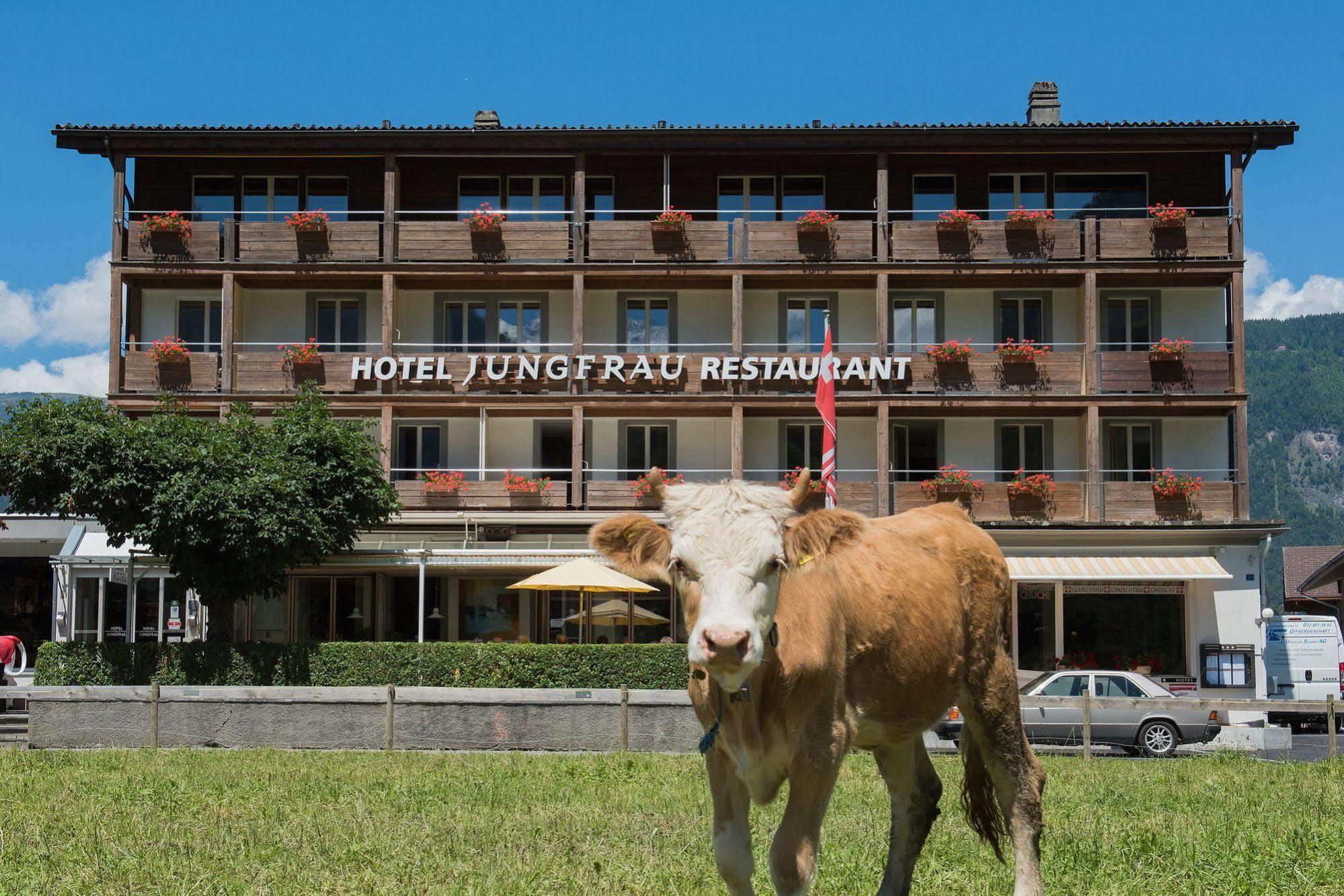 Jungfrau Hotel Wilderswil Zewnętrze zdjęcie