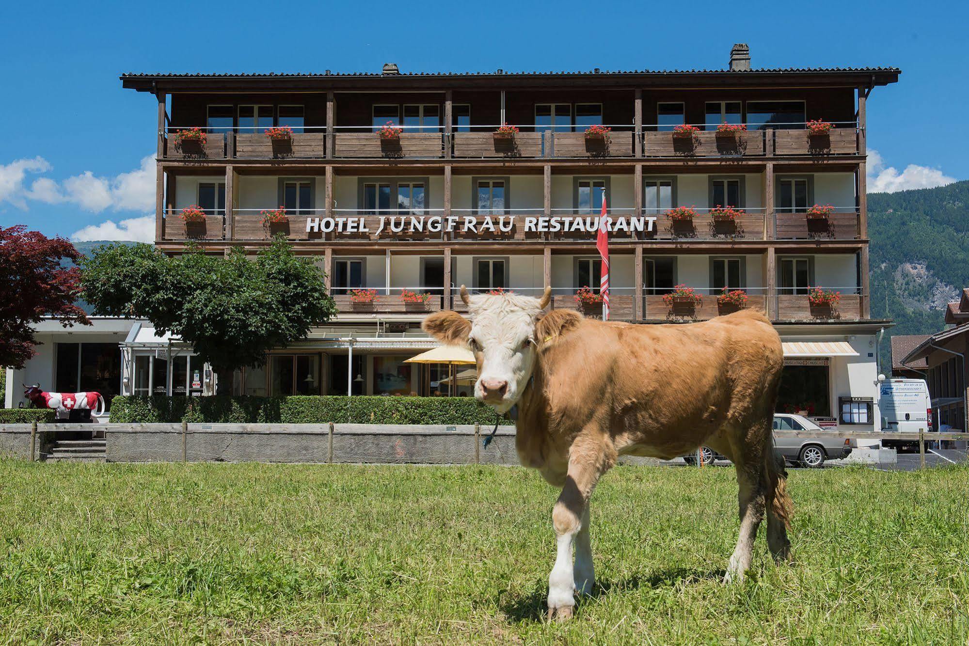 Jungfrau Hotel Wilderswil Zewnętrze zdjęcie