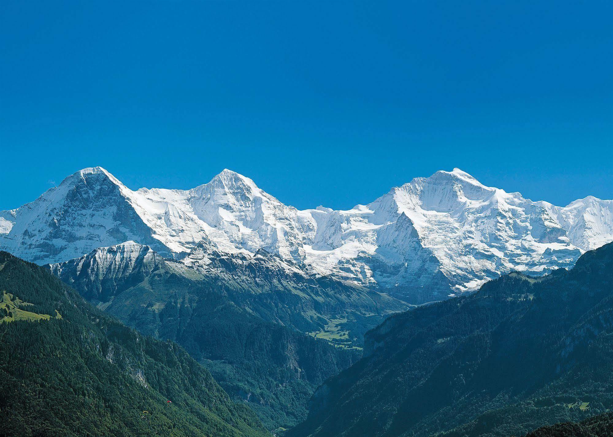 Jungfrau Hotel Wilderswil Zewnętrze zdjęcie