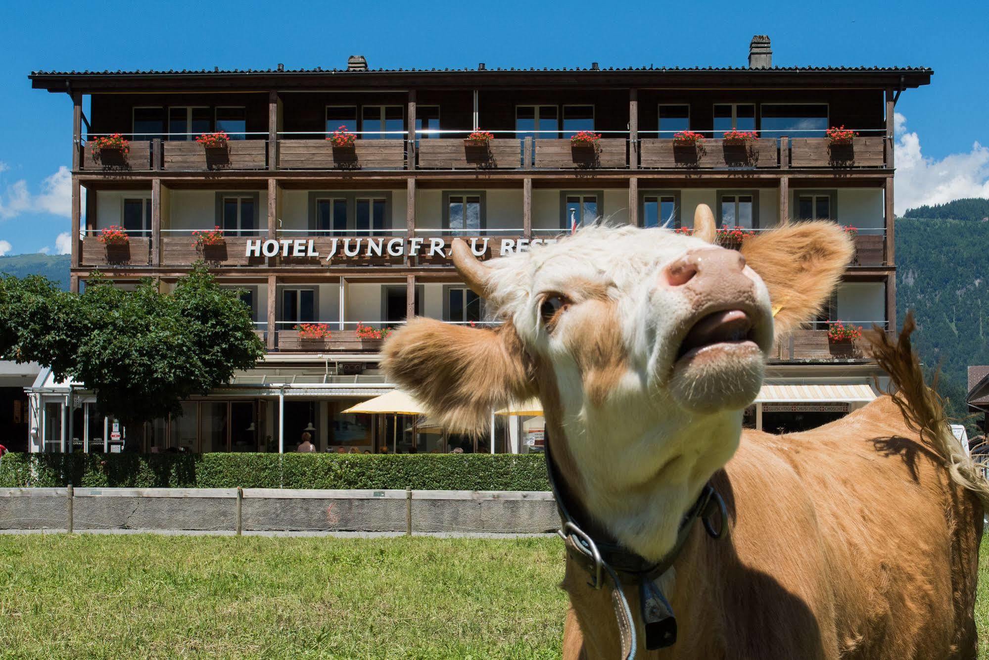 Jungfrau Hotel Wilderswil Zewnętrze zdjęcie