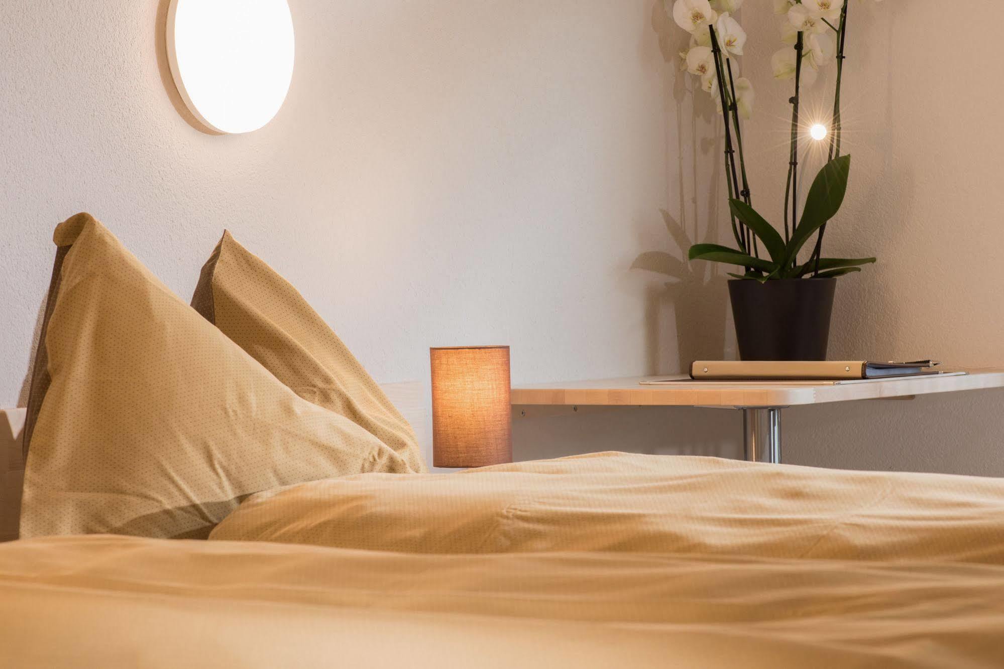 Jungfrau Hotel Wilderswil Zewnętrze zdjęcie
