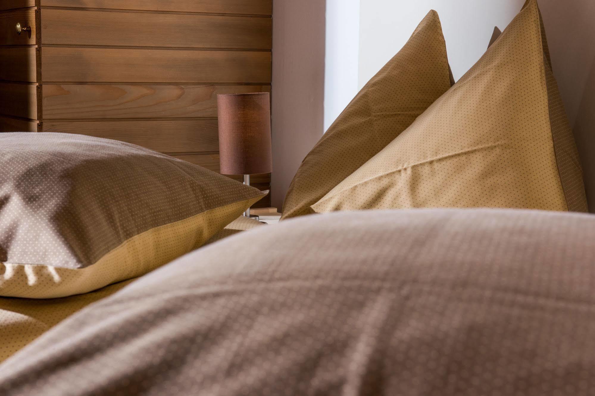 Jungfrau Hotel Wilderswil Zewnętrze zdjęcie