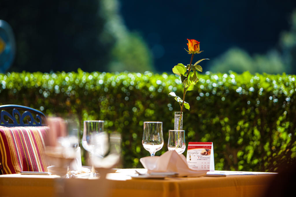 Jungfrau Hotel Wilderswil Zewnętrze zdjęcie