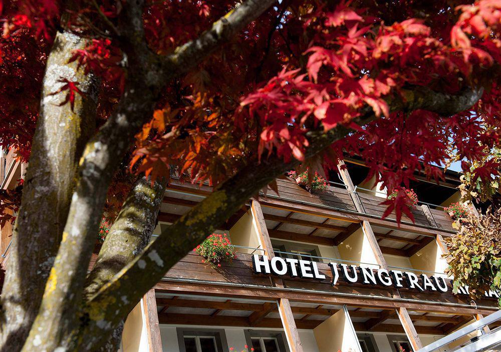 Jungfrau Hotel Wilderswil Zewnętrze zdjęcie